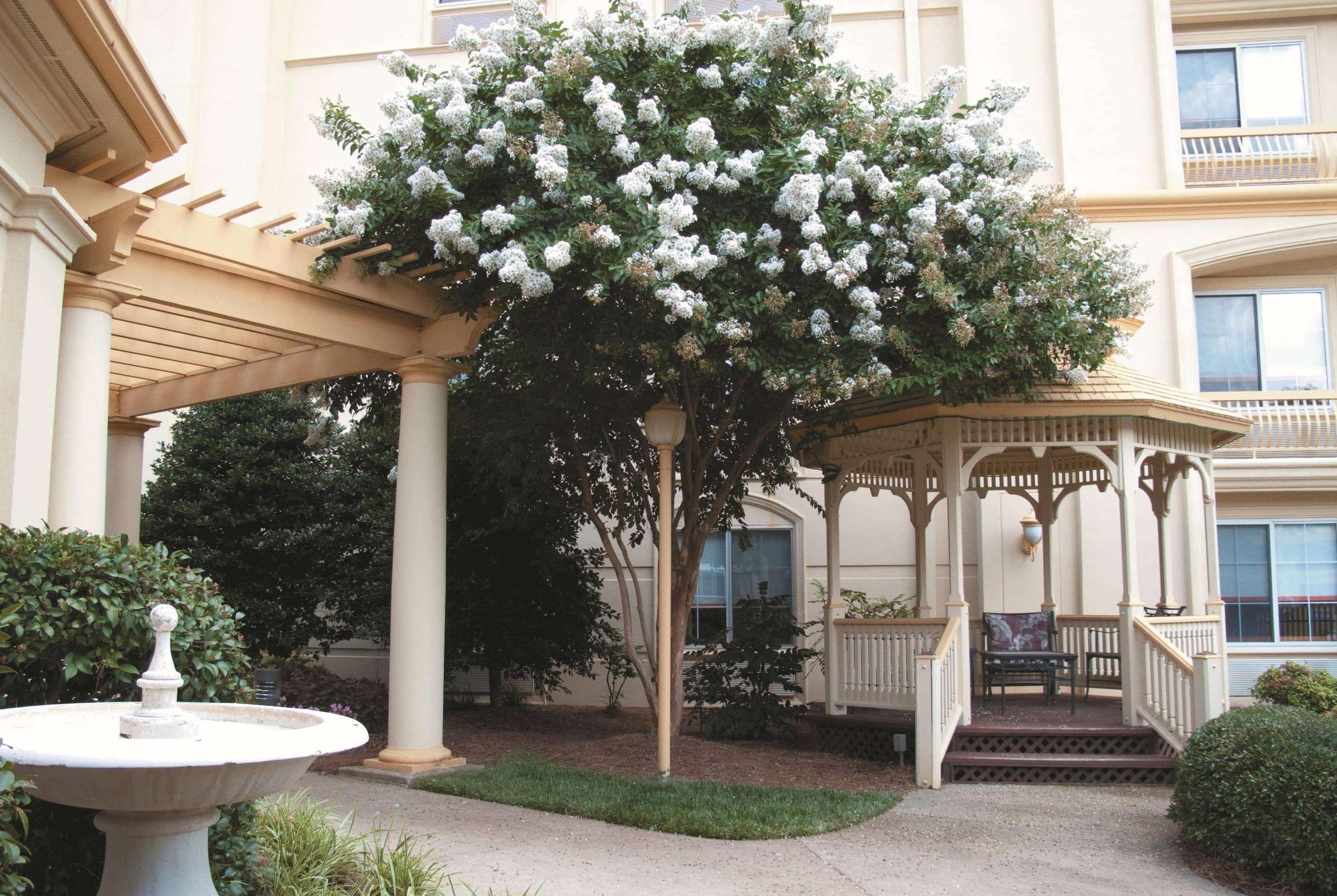 La Quinta By Wyndham Raleigh Crabtree Hotel Buitenkant foto